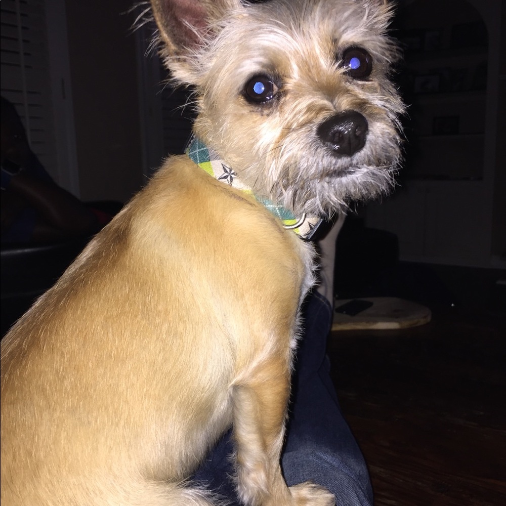 Meet your Posher, Tony